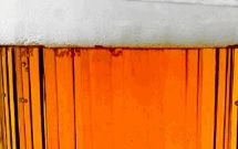 オ州酒メンバーと行く!パール地区ブルワリーツアー