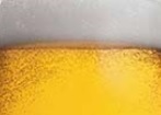 オ州酒メンバーと行く!イースト地区サードウェーブ・ブルワリーツアー
