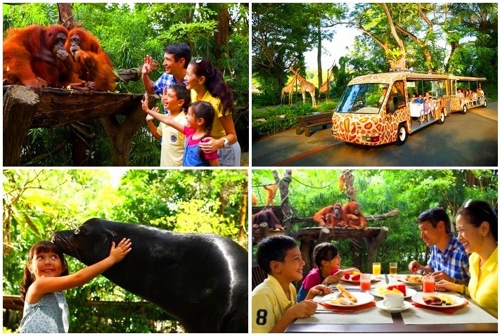 【シンガポール】空港送迎付 動物園(オランウータンと朝食付)