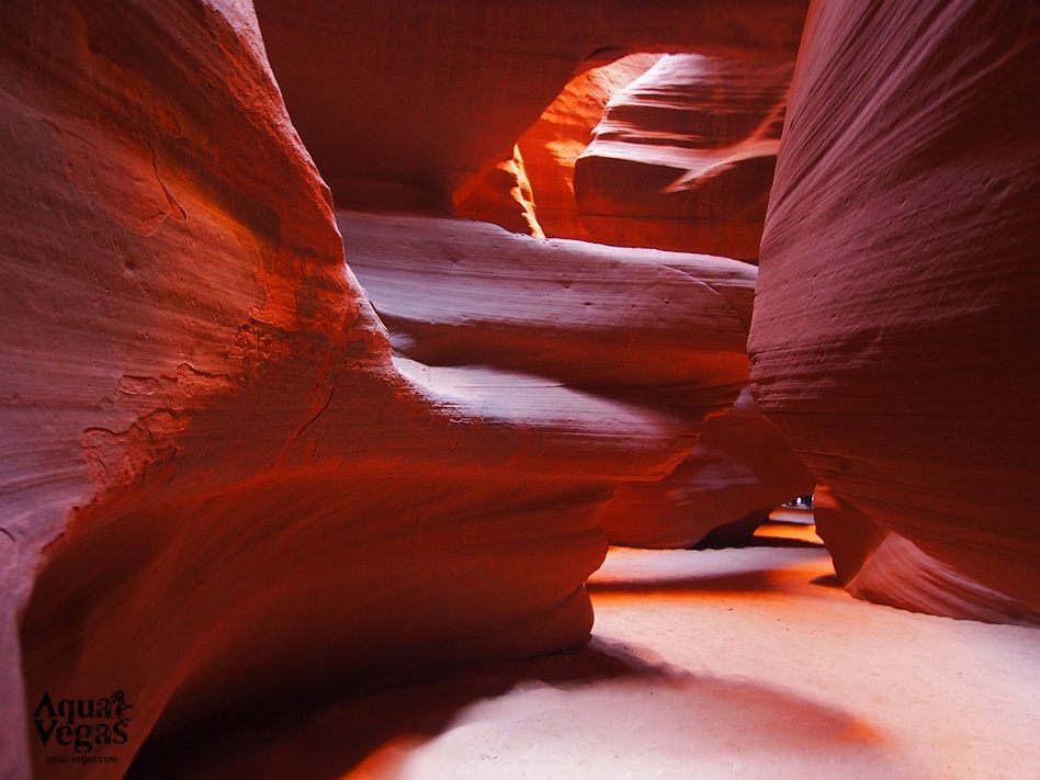 [AQUA] アンテロープキャニオンX･ホースシューベント･レイクパウエル･グランドステアケース=エスカランテ国定公園トッドストゥール(マッシュルーム奇怪岩群)日帰りツアー