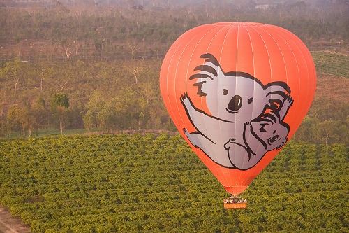 熱気球遊覧飛行ツアー