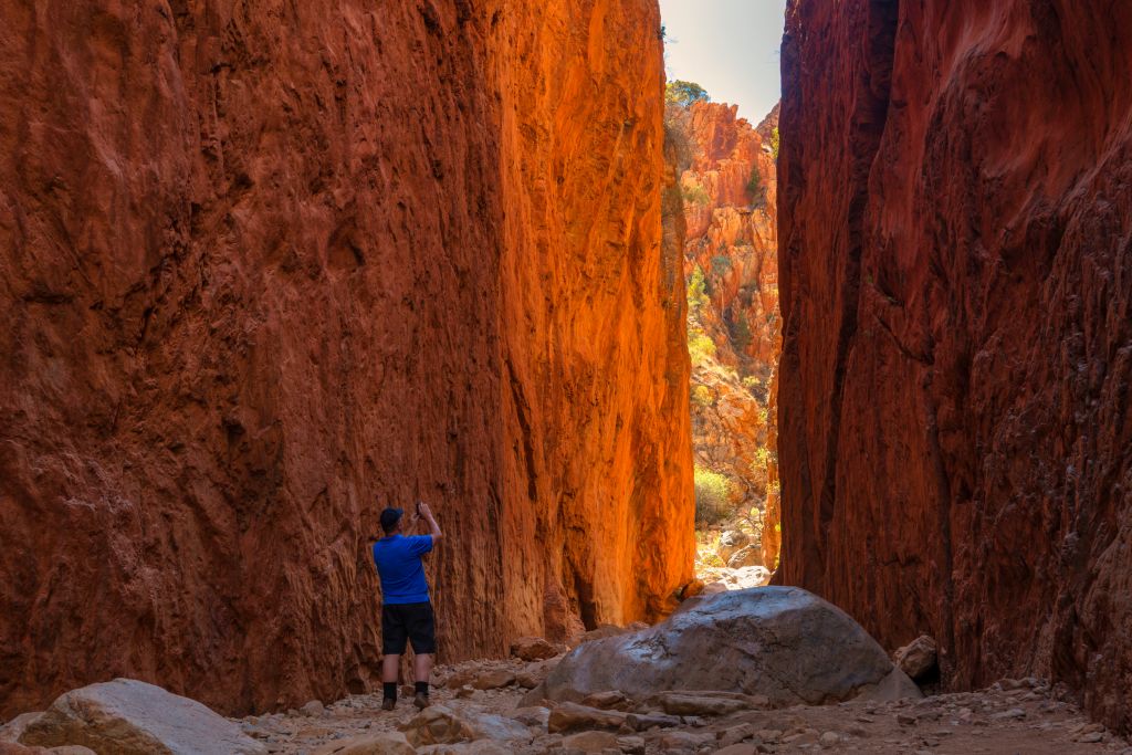 アリススプリングス･ハイライト&ネイチャーエスケープ