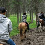 イブニング乗馬とカウボーイディナー