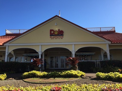 トレジャー･イン･ノースショア 