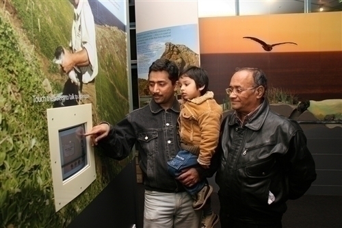 もちろんペンギンに関する展示も