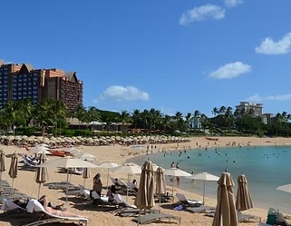 ワイキキ~コオリナ間シャトルサービス (ホテル移動･食事･ショッピングなど)