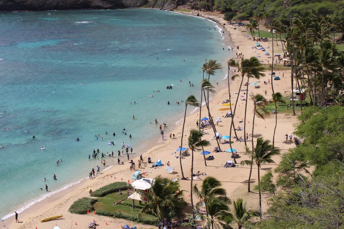 ハナウマ湾ツアー