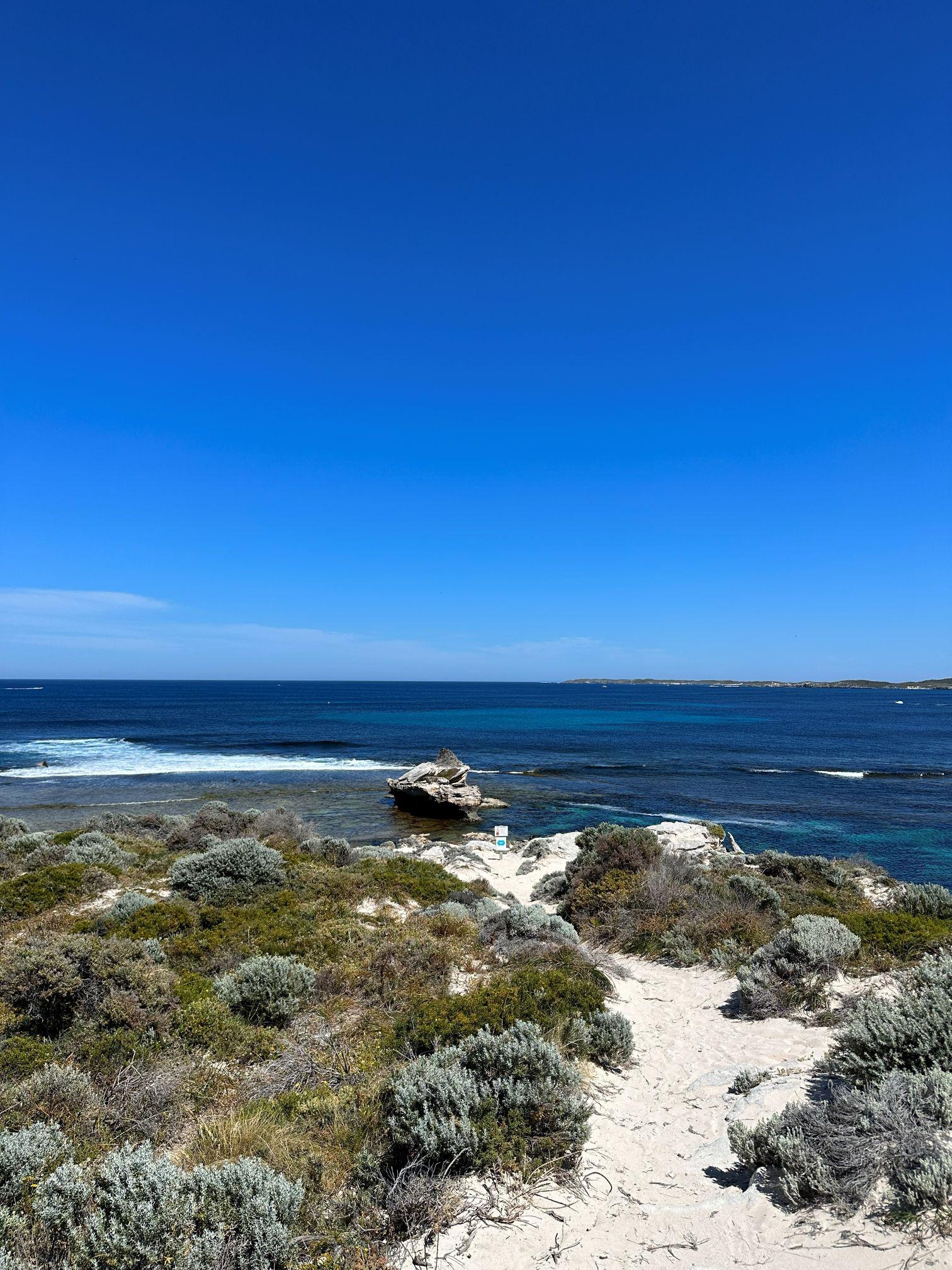 空飛ぶ漁師とも呼ばれるミサゴの巣