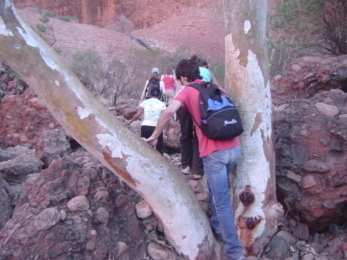 風の谷散策は結構きつい！