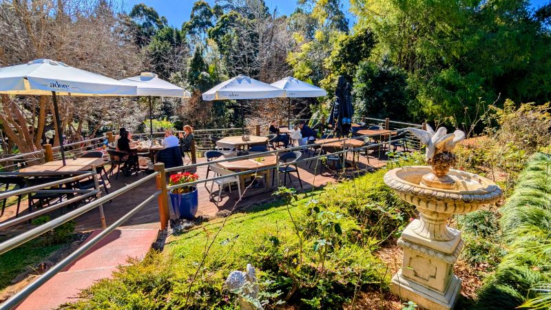 ワイナリーでの贅沢ランチ