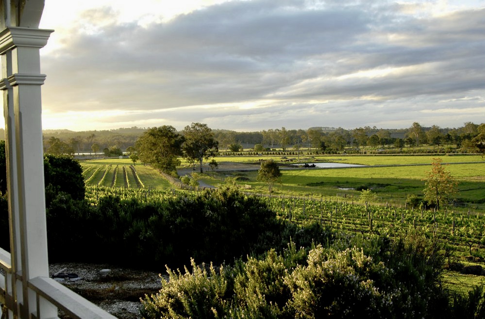 人気のワイナリーを訪れます