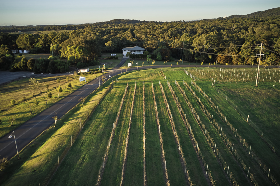 シロメワイナリー