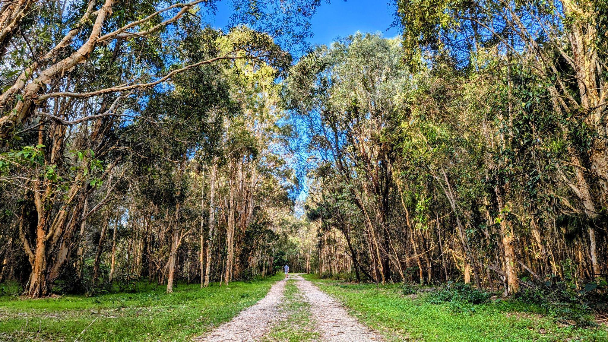 クーンババ野生動物保護エリア