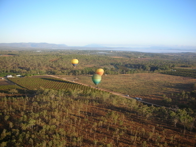 カンガルーも探せるかな？