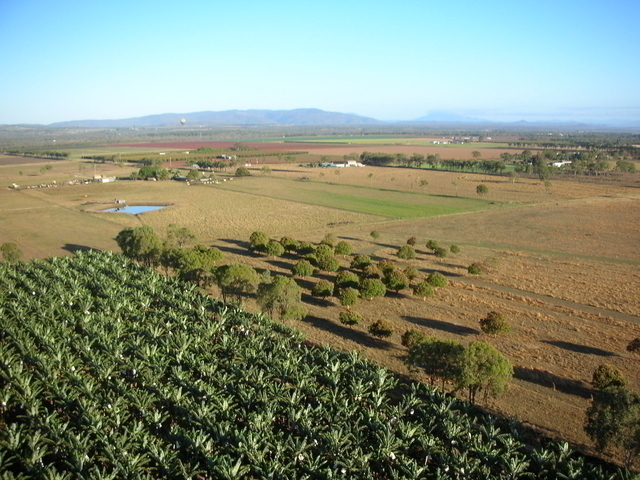 年中安定したマリーバ地区のおかげでバルーンも飛べますよー