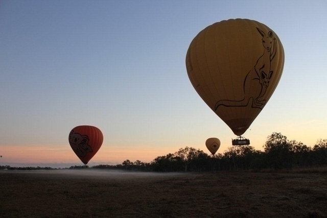 朝靄の中から飛び立つ気球