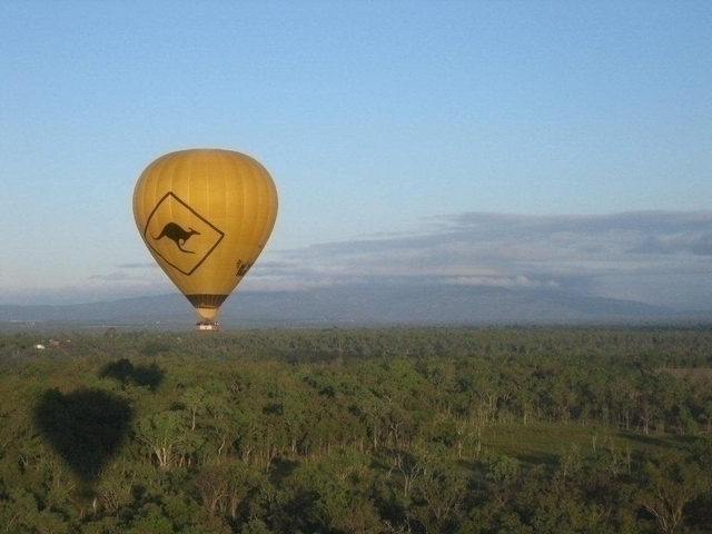 ジャングルに写る気球の影