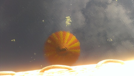 湖に写った気球