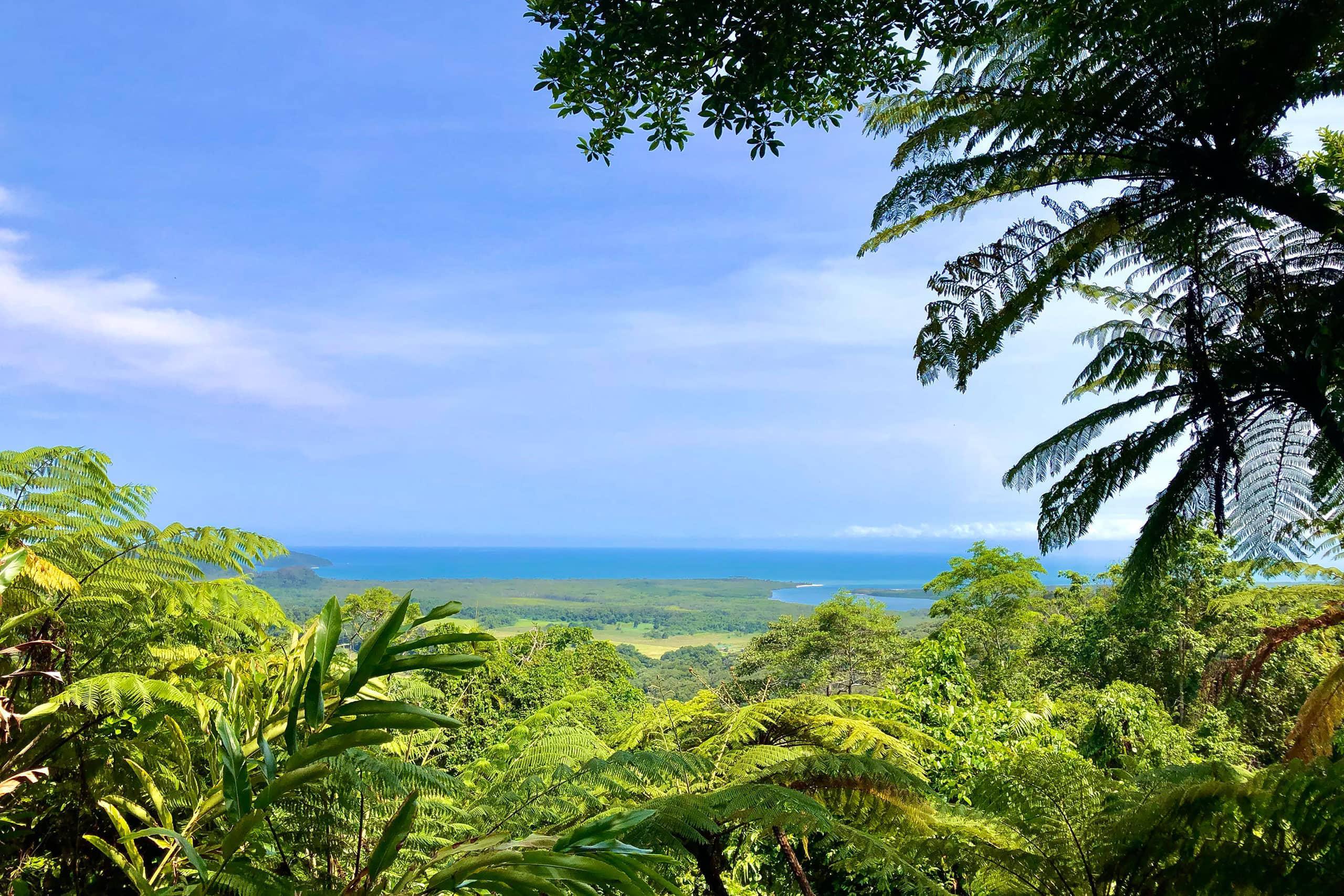 デインツリー熱帯雨林 モスマン渓谷&ケープトリビュレーション1日ツアー