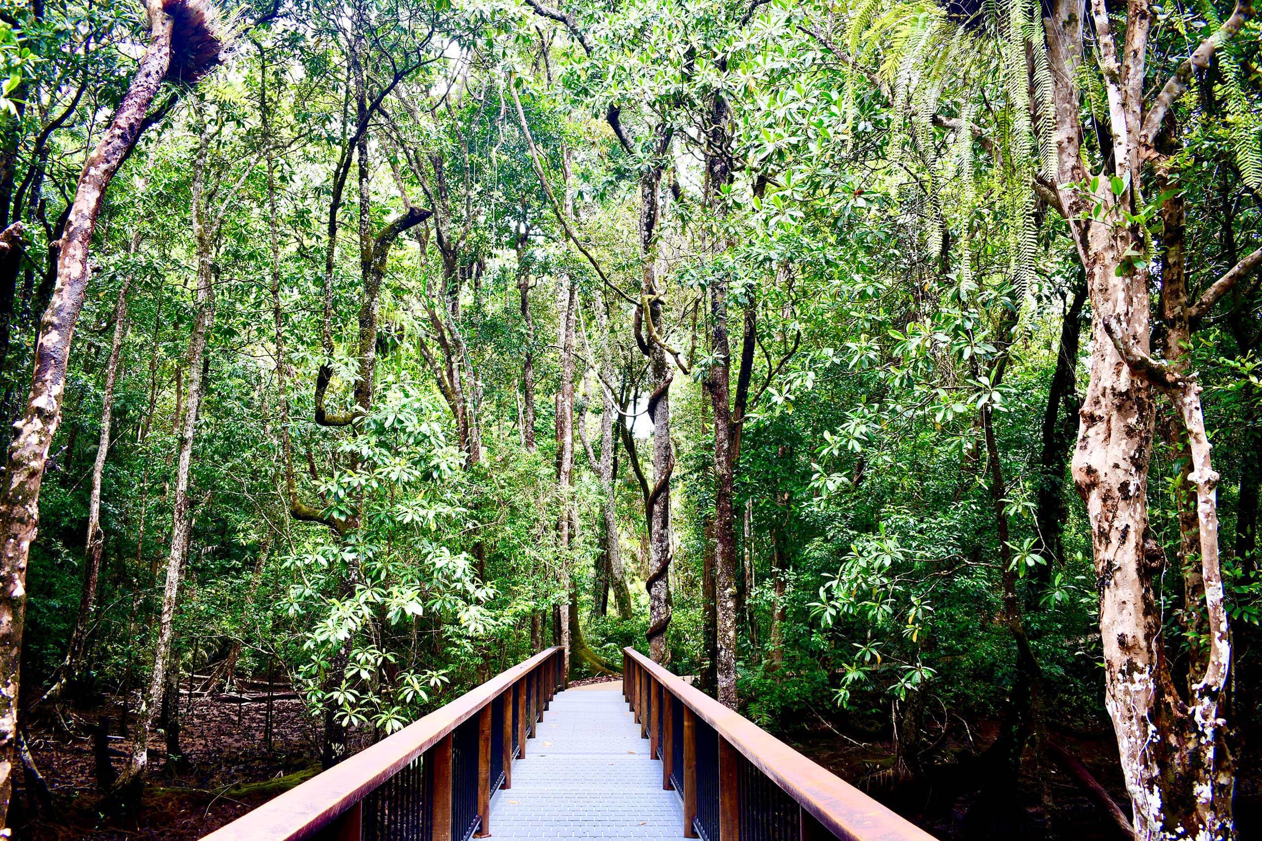 ボードウォーク