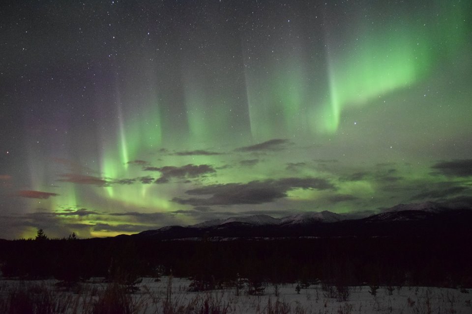 空一面に広がるオーロラ、ピンク色も見えますね☆