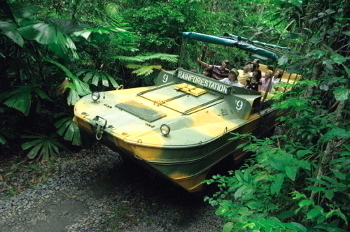 ジャングルをぐいぐい進みます