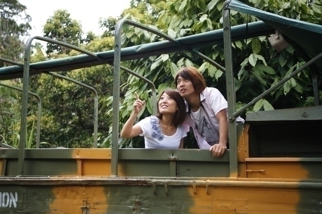 珍しい植物を間近に見られます