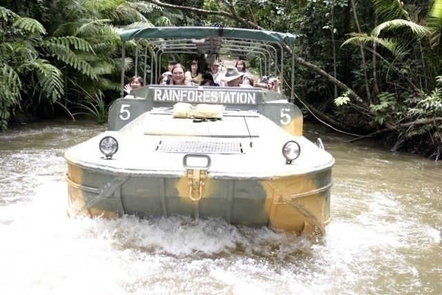 湖に飛び込むアーミーダック