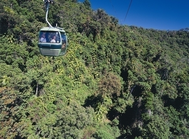 ジャングルの上を空中散歩