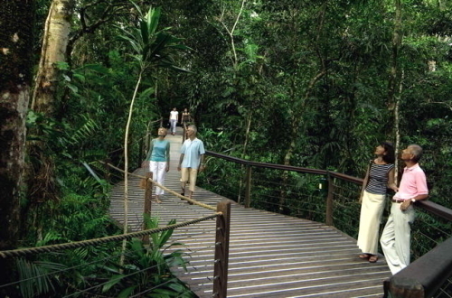 【スカイレール･ループ(環状)運行時特別スケジュール】どきどき キュランダ フリーコース
