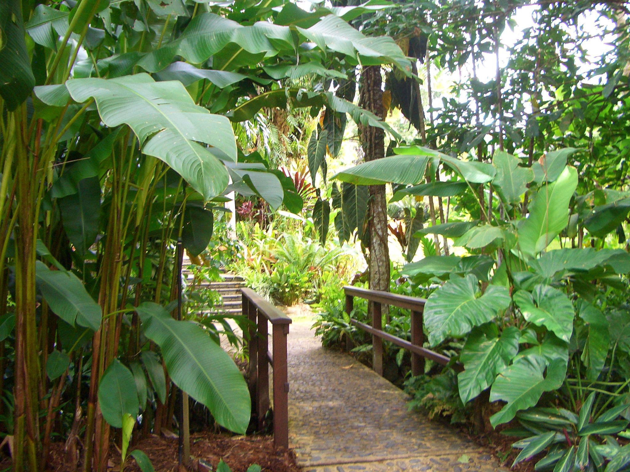 ボタニックガーデン