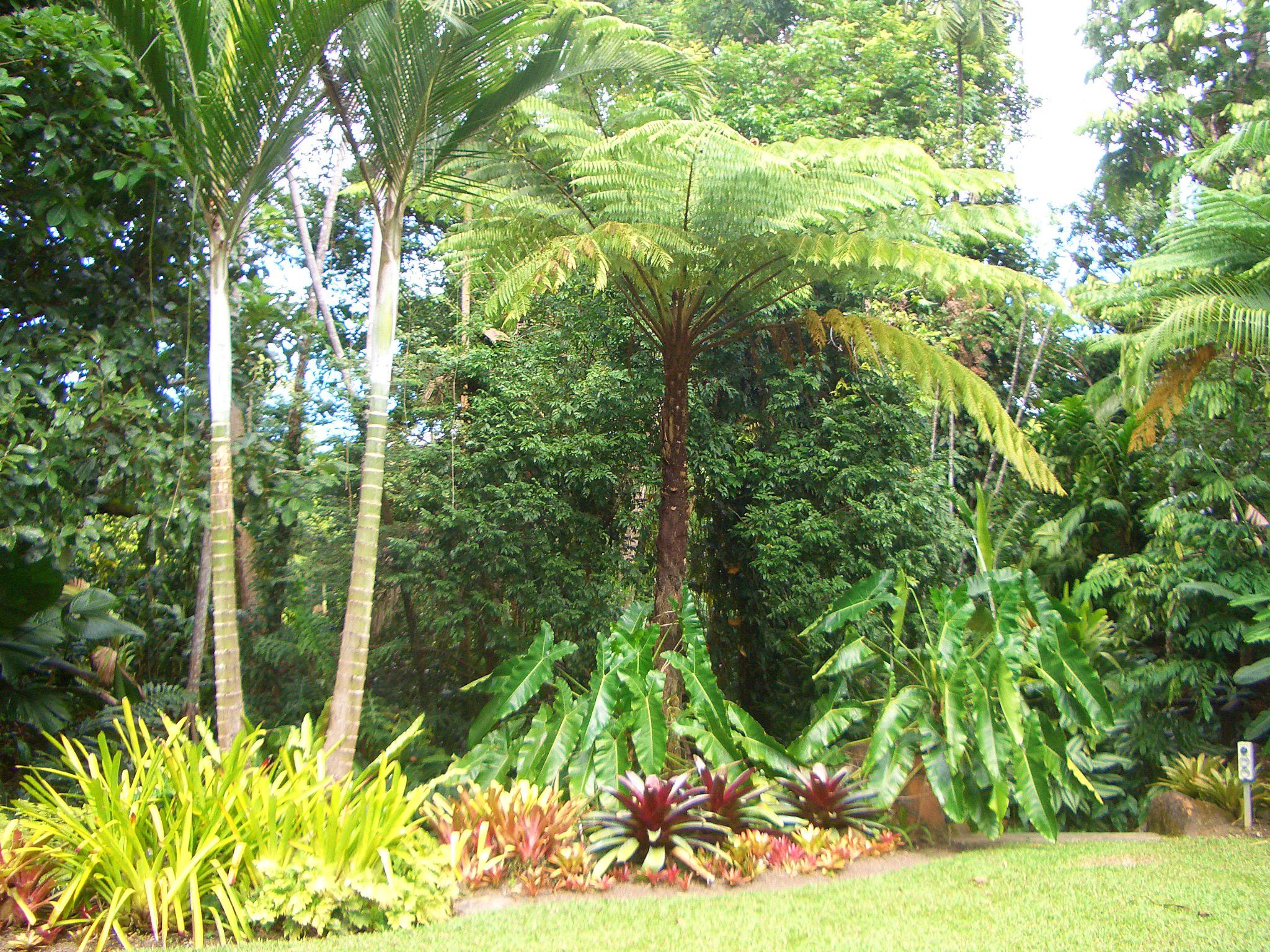 ボタニックガーデン