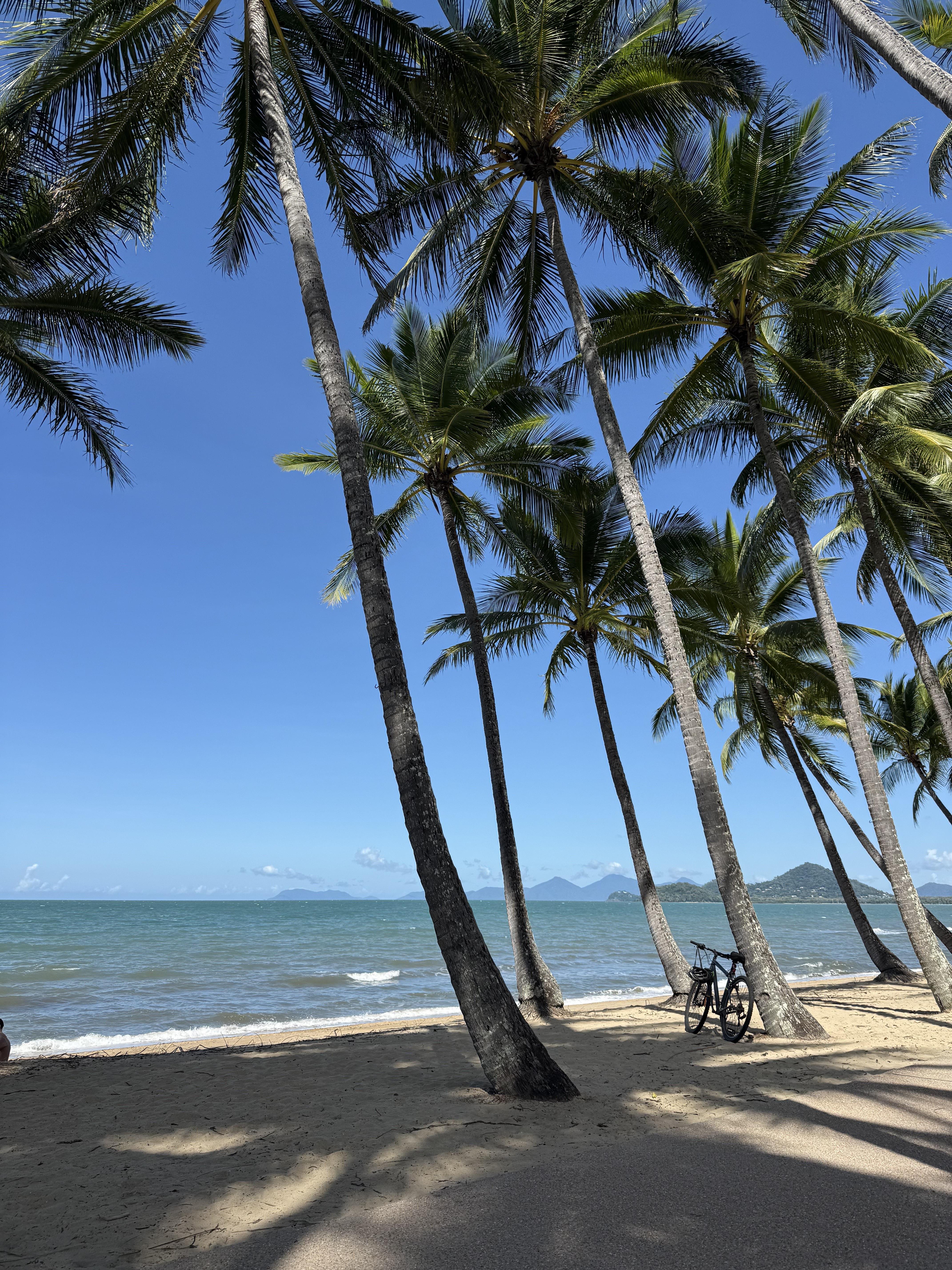 パームコーブビーチ