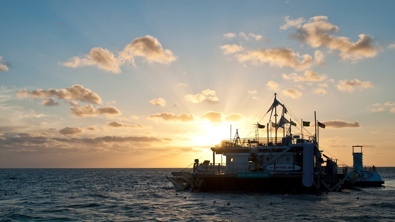 リーフ･スイート