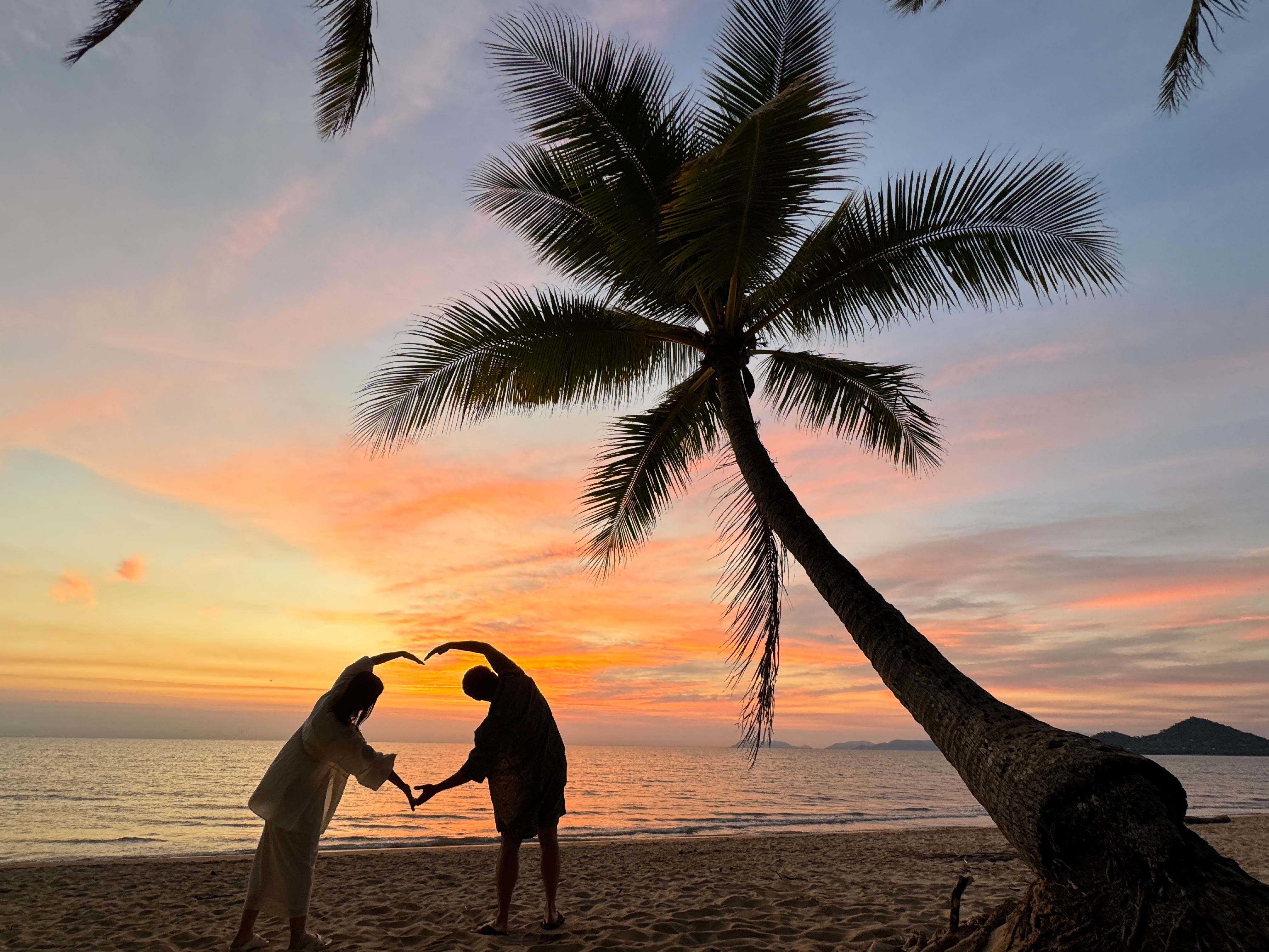 サンライズ･パームコーブツアー