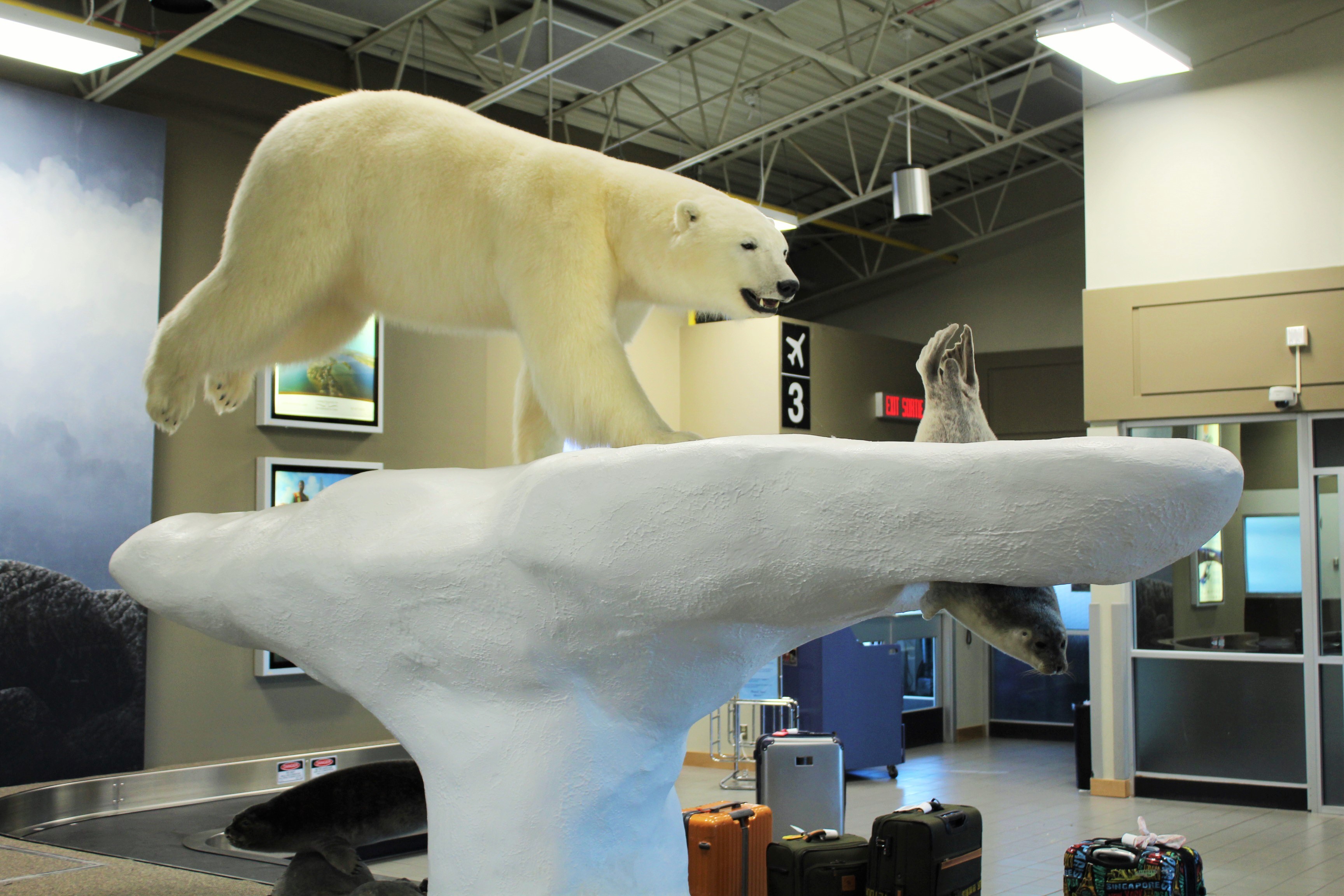 イエローナイフ空港ではしろくまくんがお迎えてくれます