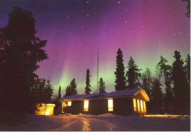 こんな紫やピンクも