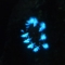 夜光虫