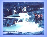 モロキニ島ボートダイブ