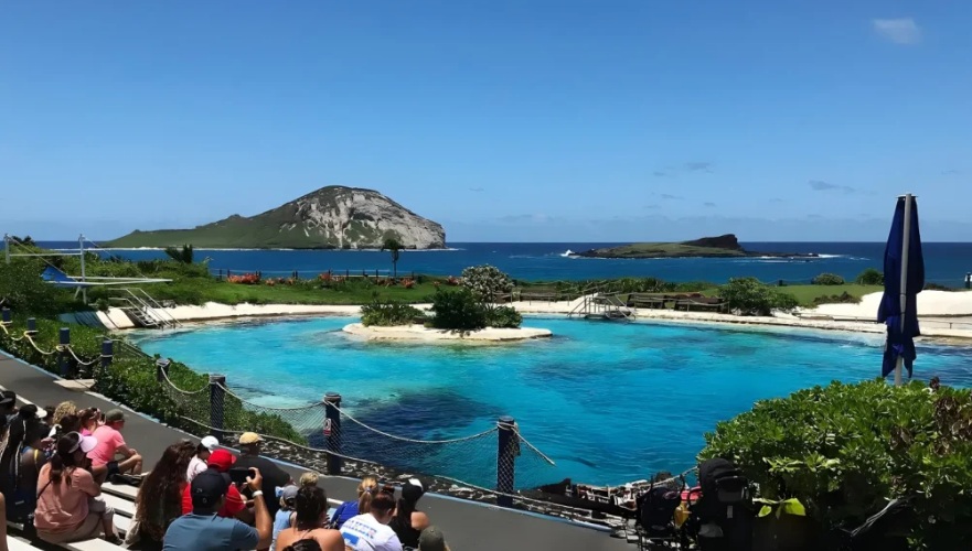 シーライフパーク･ハワイ ~ 入園券 (送迎付き/送迎なし)