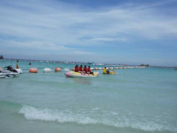 アクティビティー