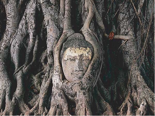 ワット・プラ・マハータート