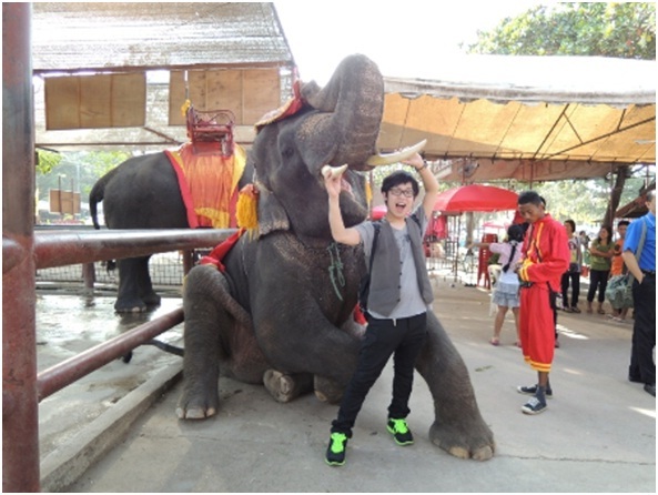 象乗り体験(オプション)