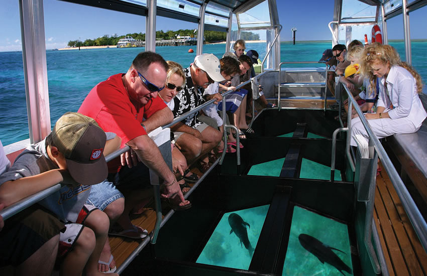 グラスボトムボートなら水に入らず水中散策