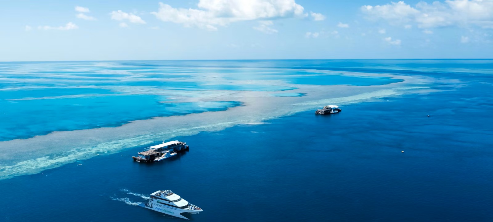 マリンブルーのサンゴ礁