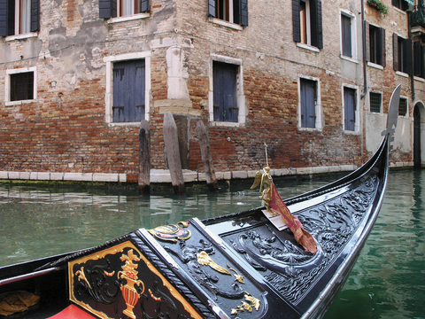 ゴンドラからの眺め