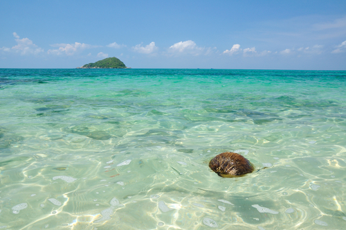 どこまでも澄んだ海!!