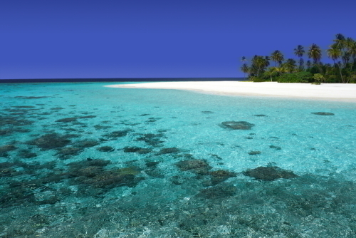 夢の楽園マニャガハ島