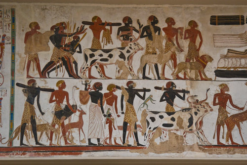 見所のエジプトコレクション